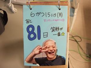 81 81
