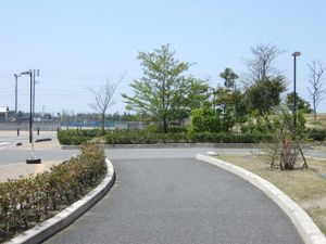 Photo_6