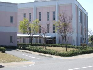 Photo_7