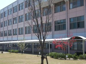 Photo_8