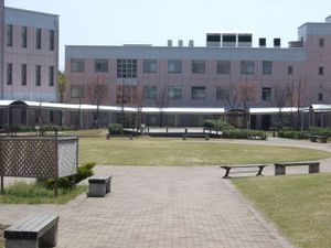 Photo_9