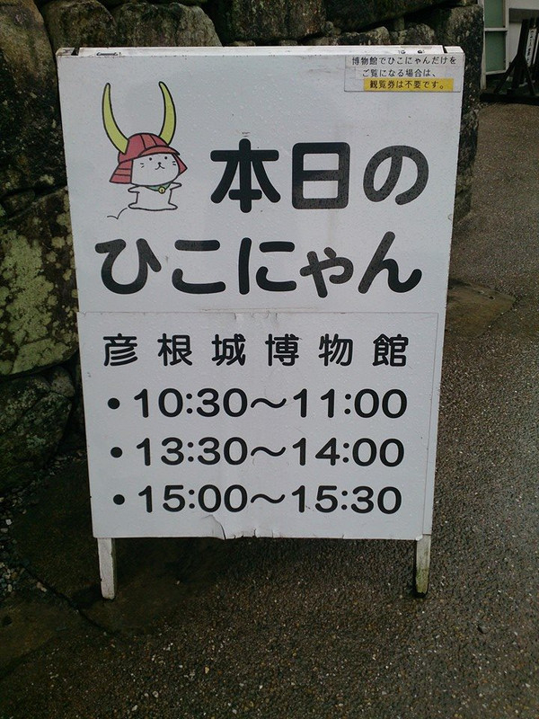 10003155_473287606104610_1436202851