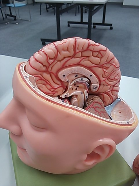 Camerazoom20140811183127758