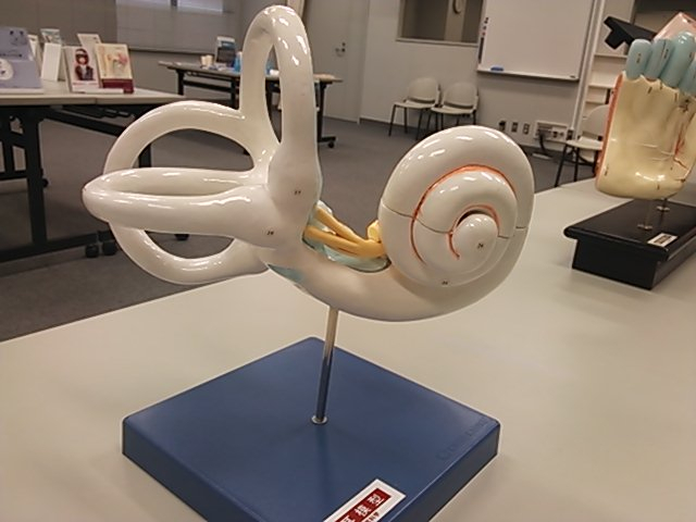 Camerazoom20140811183213965