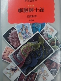 Camerazoom20140811173742418