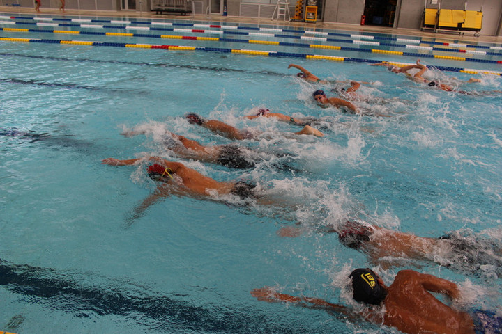 50891c52140840f48b0383619d0f7230