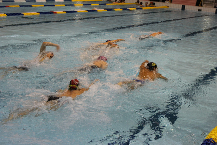 56cbcc48966c41fd9039fc1cd084a75a