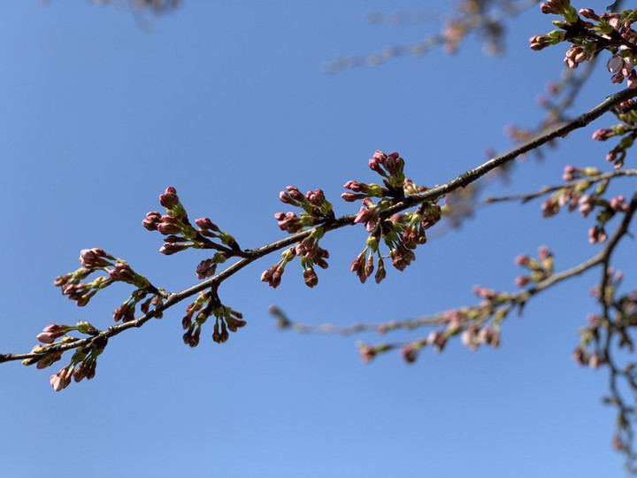 Ef651a8718dd4be7a5ad25398ce8048e